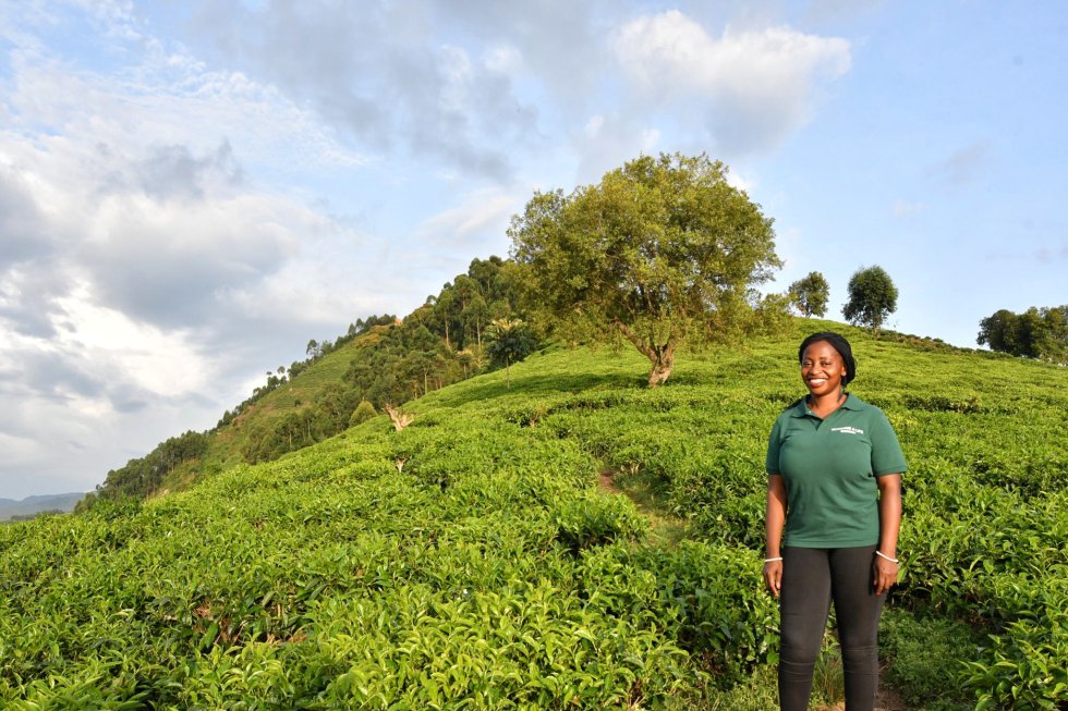 Tina Katushabe es fundadora de un proyecto de empoderamiento, educación y conservación llamado Change A LIFE, en la plantación de té junto al bosque impenetrable de Bwindi, amenazado por la deforestación que causa el cultivo intensivo de esta planta.