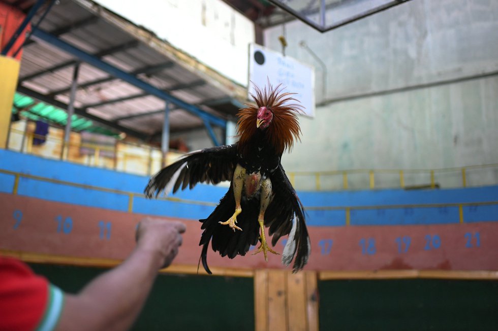 Fotos: Las imágenes del día, 16/11/20 | Actualidad | EL PAÍS