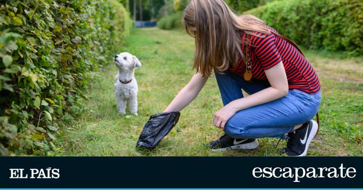 5 estrellas y 70.000 valoraciones: las mejores bolsas del mundo para excrementos de perro se venden en Amazon