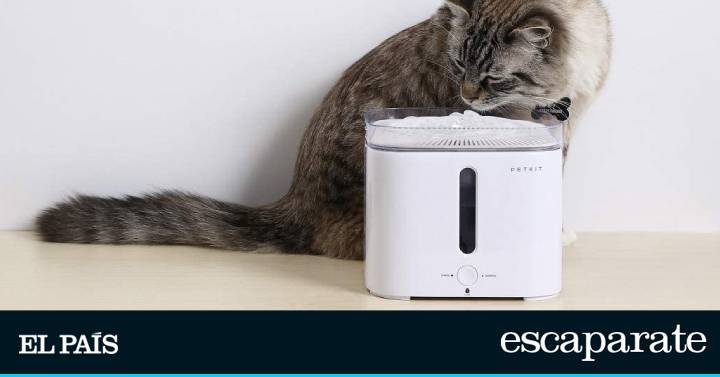 Las mejores fuentes de agua automáticas con filtro para perros y gatos