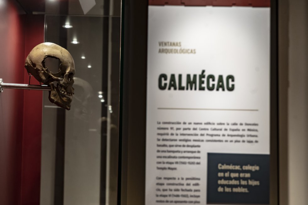 En la exposición se muestran un par de cráneos rescatados del Huei Tzompantli.