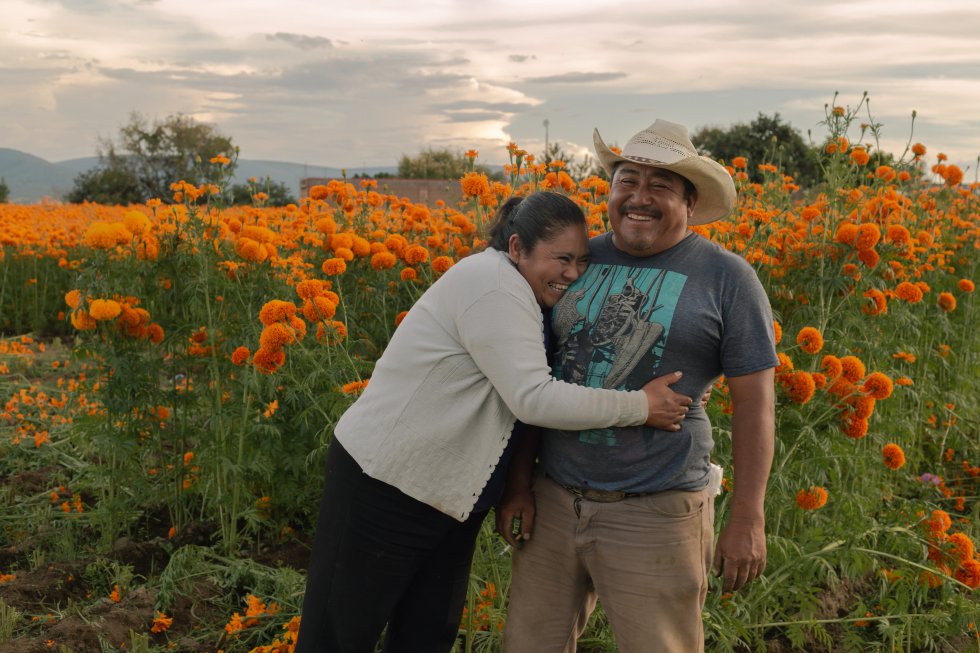 Fotos: Cosecha de flores para el Día de Muertos, en imágenes | Sociedad |  EL PAÍS