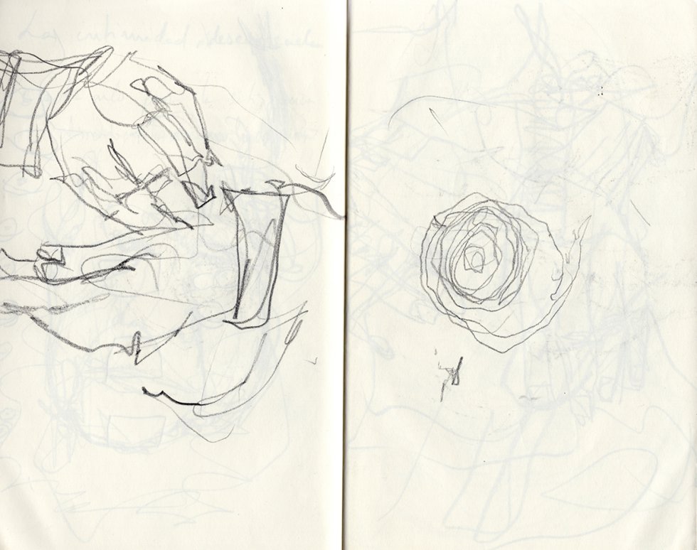 Cuando Flor dibujaba hacía una espiral. A su nieto le gusta pensar que es una rosa, su flor favorita.