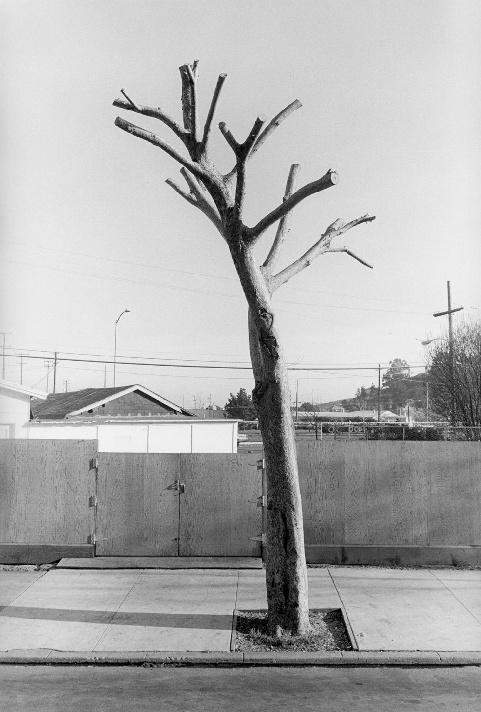 'Point Richmond, California 1985'. 