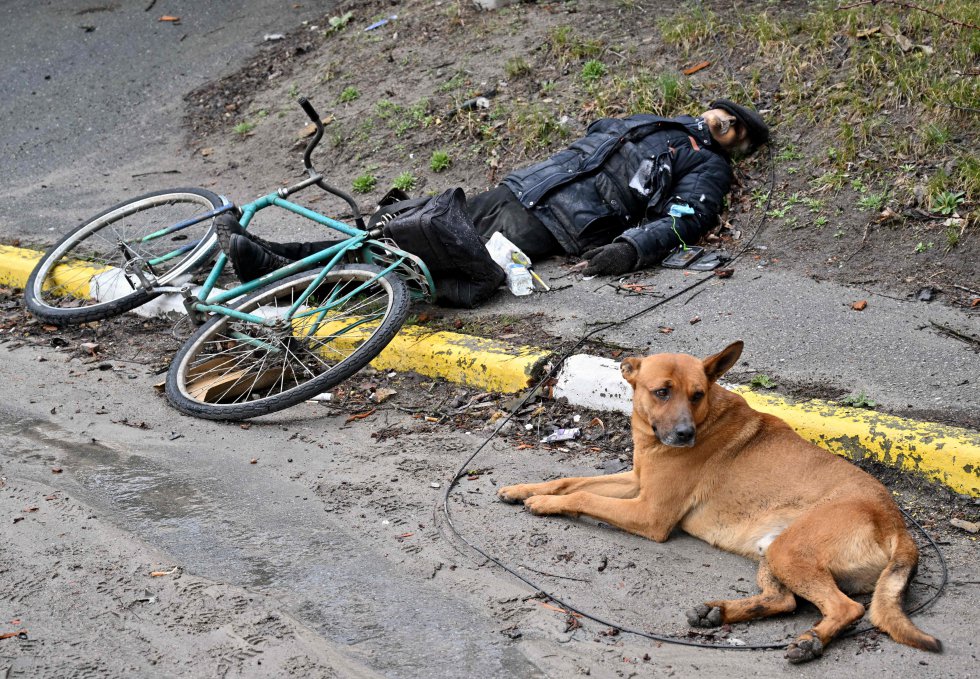 Un perro junto al cuerpo de un hombre, posiblemente su dueño, en la ciudad de Bucha, el domingo.