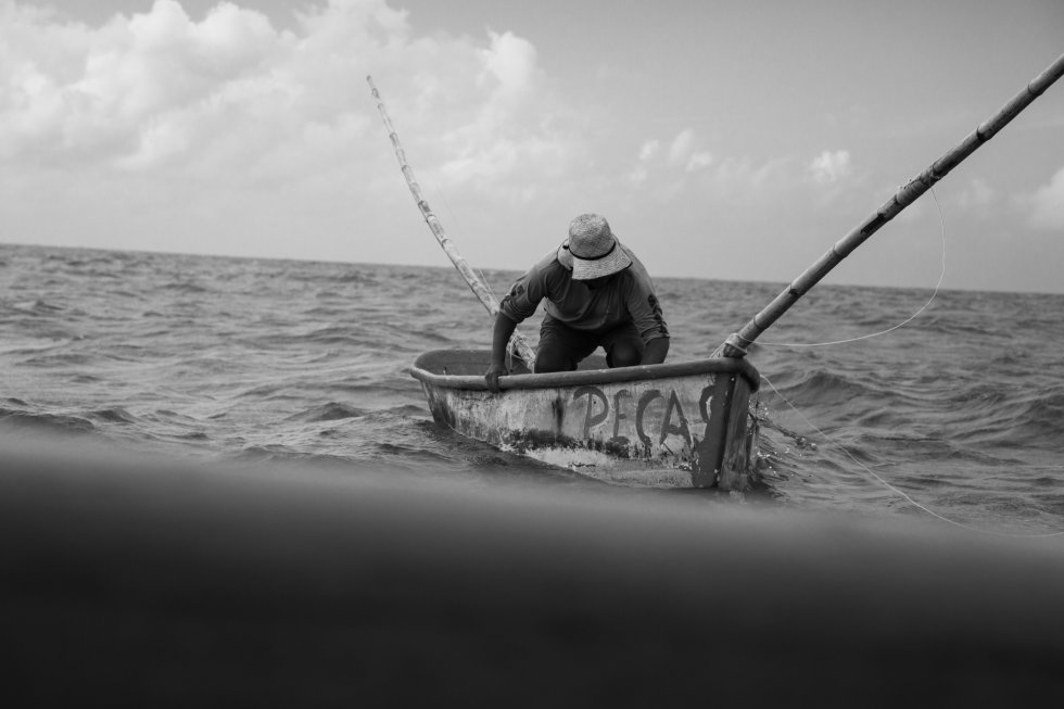 Los pescadores salen en lanchas ribereñas y pasan horas esperando a que los pulpos ataquen el cebo amarrado a los hilos.