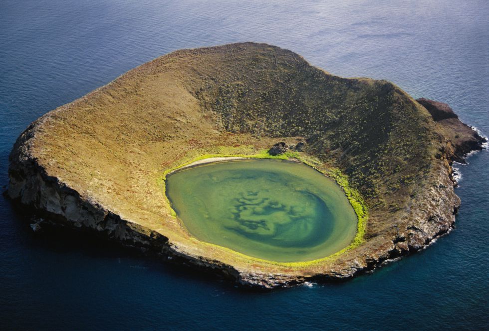 Fotos: Iguanas y leones marinos en Galápagos | El Viajero | EL PAÍS