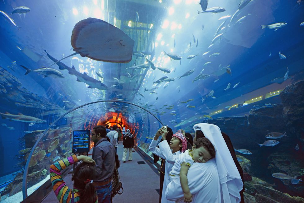 El Dubai Mall tiene 1.200 tiendas, pero es mucho más que un gigantesco centro comercial; es una forma de vivir y, para los visitantes, una oportunidad de entender a los dubaitíes entre atracciones de todo tipo: desde un acuario gigante hasta un parque temático a cubierto con un enorme esqueleto de dinosaurio.