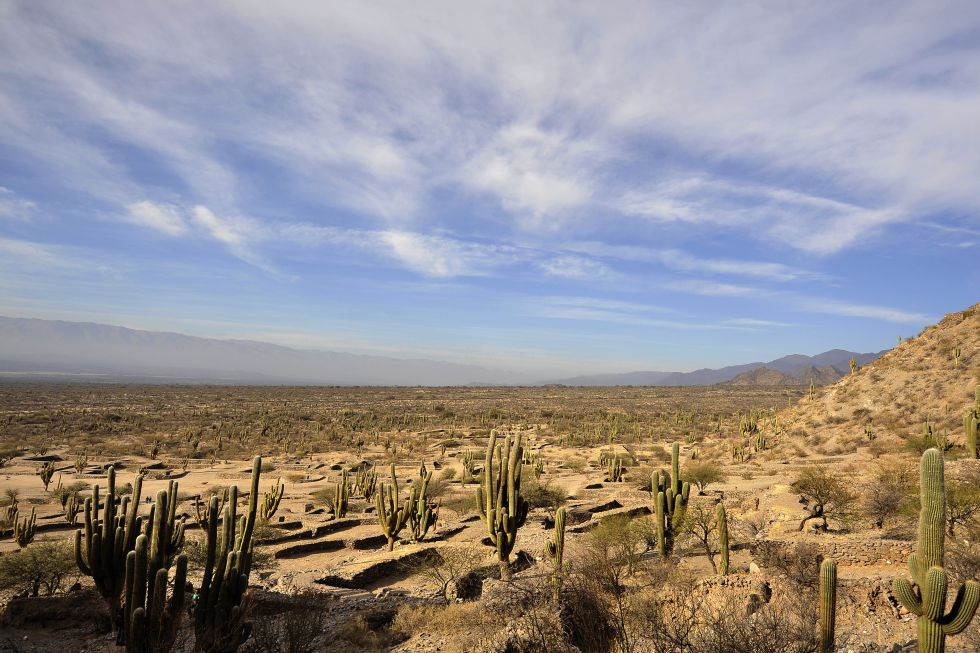 Al pie del cerro Alto Rey, en los valles Calchaquíes en la provincia de Tucumán, se encuentran los restos del mayor asentamiento precolombino de Argentina. La ciudad que los indios quilmes habitaron entre los años 800 y 1666, cuando fueron derrotados por los españoles, muestra las paredes de piedra de lo que alguna vez fueron casas y corrales, en un paisaje árido, seco y caluroso. En un paraje hoy invadido por los cactus, los quilmes criaban animales y sembraban quinoa, maíz y otras plantaciones. En el momento de la conquista española vivían en la ciudadela unas 6.000 personas. Sobrevivieron sólo unos 2.500, hechos prisioneros y enviados a pie hasta Buenos Aires.