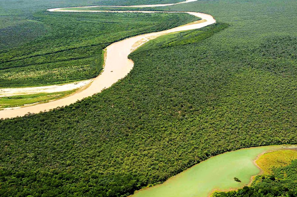 Bosques de quebracho, algarrobo, palo santo y otras especies nativas forman el llamado Impenetrable Chaqueño, una región semiárida en el noroeste argentino célebre por las dificultades que pone al hombre que pretenda adentrarse en su vegetación. Desde 2014, la declaración de parque nacional protege de la deforestación unas 130.000 hectáreas donde viven especies amenazadas como el yaguareté, el tatú carreta, el puma y el oso hormiguero.
