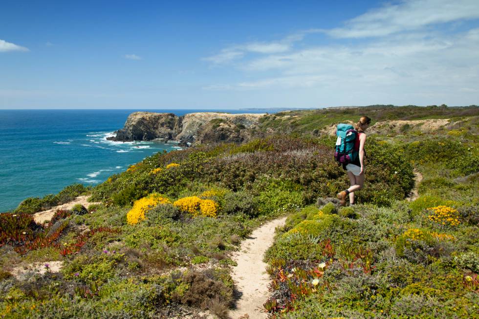 La gran ruta senderista del sur portugués cuenta con dos ramales. La ruta de la costa (120 kilómetros, en la foto), recorre desde Porto Covo algunos de los paisajes de playa más agrestes y espectaculares de la región. La ruta interior (230 kilómetros) es igual de atractiva, ya que se adentra en el parque natural del Sudoeste Alentejano y la Costa Vicentina por caminos amplios y sencillos, atravesando pueblos, aldeas, alcornocales y valles. Ambos senderos están compuestos por secciones y nunca hay más de 25 kilómetros entre los pueblos de la ruta, en los que pasar la noche. Hay empresas que ofrecen transporte de equipaje entre los diversos alojamientos.