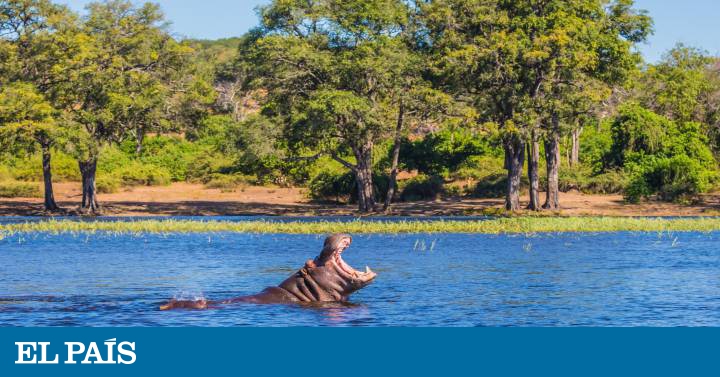 10 Paisajes Espectaculares Del Sur De Africa El Viajero El Pais