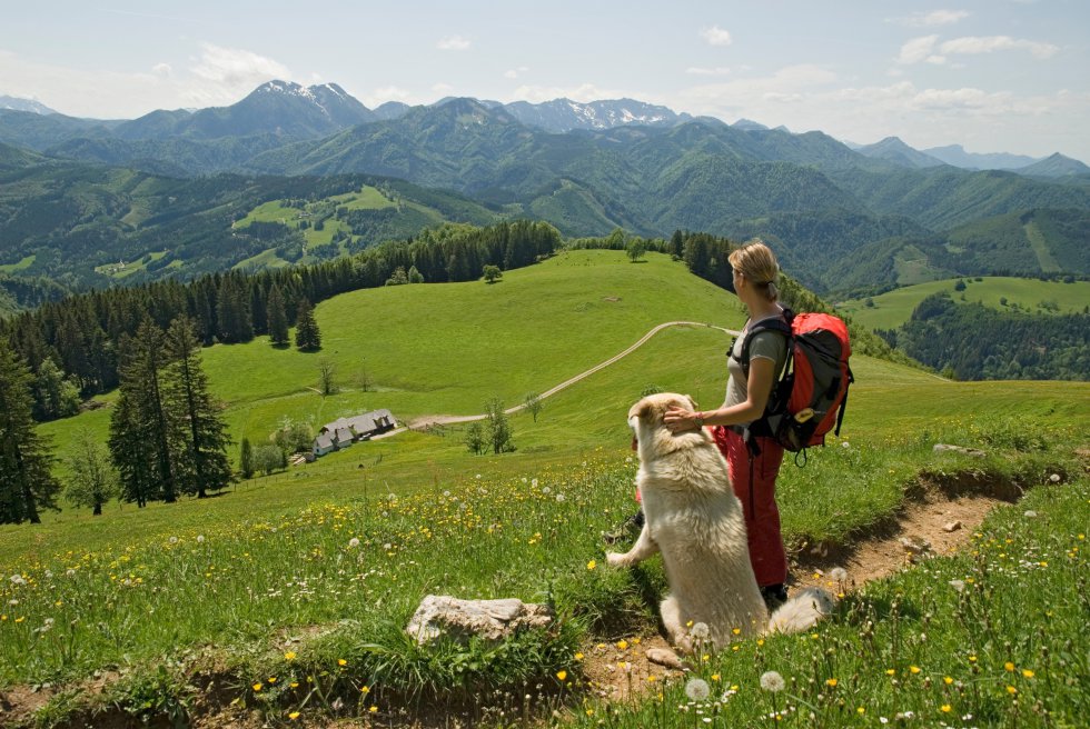 El área forestal más grande de Europa central se alza en Austria bajo el nombre de parque nacional Kalkalpen, con el mayor karst del país. Se sitúa en la región de Pyhm-Eisenwurzen y se extiende hasta las regiones alpinas. Los cañones y manantiales kársticos y los prados alpinos dan refugio a multitud de especies de plantas y animales. Ciervos comunes, venados y gamos, la salamandra alpina, el urogallo o el gallo lira, la trucha del Danubio, aves, mariposas y orquídeas raras. Ofrece actividades de turismo activo