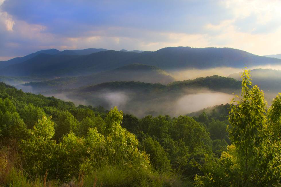 Durante 2016, el parque nacional de las Grandes Montañas Humeantes, un inmenso bosque que se extiende entre Carolina del Norte y Tennesse, recibió 11 millones de visitantes, casi el doble que uno de los más populares de Estados Unidos, el del Gran Cañón del Colorado. Este reducto de biodiversidad es hogar de una enorme variedad de animales, desde osos negros (se calcula que hay unos 1.500 ejemplares) a salamandras. Y aún conserva vestigios culturales de los indios apalaches del sur. Es patrimonio mundial de la Unesco.