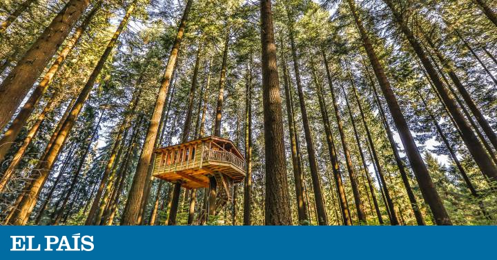 13 cabañas donde puedes pasar una noche en los árboles | Viajero | EL