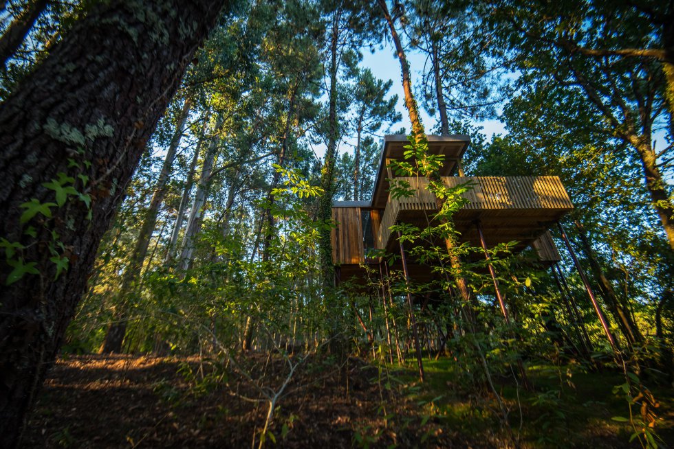 Fotos: 13 cabañas donde puedes pasar una noche en los árboles | El Viajero  | EL PAÍS