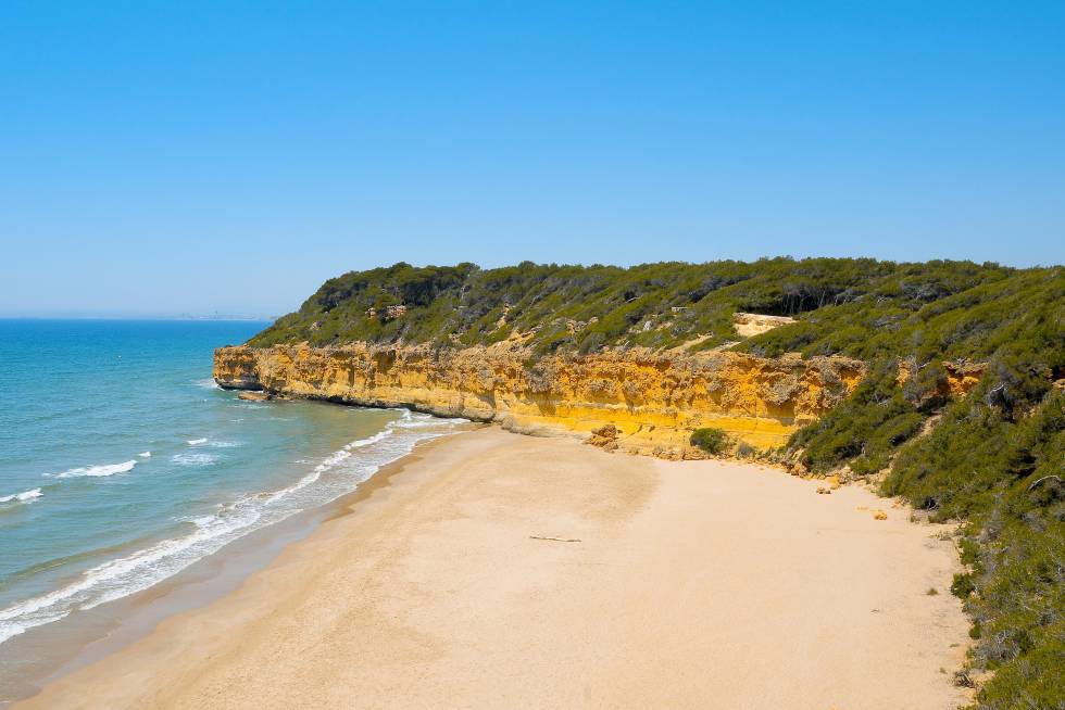 Cala Fonda —conocida también como Waikiki— es la cala virgen de mayor contundencia icónica entre Castellón y la Costa Brava. Su riqueza interior, complementada con praderías de posidonia, se la debemos a la marquesa de Mas Rabassa, quien rehusó el cheque en blanco que le extendieron a cambio de urbanizarla, en el primer acto ecologista de que se tiene noticia por las costas tarraconenses. Luce dunas colonizadas por hinojos marinos, así como por una mancha de pinos piñoneros, algarrobos y olivos. Bajo el talud de amarillo acentuado, protegido de los vientos y del ruido de la carretera y el tren, cala Fonda está especialmente indicada para quienes huyen del chiringuiteo y gustan del baño a puro cuerpo. La bajada a la arena es muy dificultosa. Acceso: aparcamiento en Platja Llarga, nada más rebasar el campin Las Salinas. Restan 1,8 kilómetros a pie.