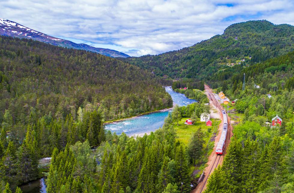 Siete horas y 22 paradas (incluyendo la de partida y la de llegada) dura el trayecto entre Oslo y Bergen, que está considerado uno de los viajes en tren más pintorescos del mundo. Los pasajeros atraviesan Hardangervidda, una de las mesetas montañosas más altas de Europa (en la imagen), con un paisaje sencillamente espectacular. Hay cuatro salidas diarias y el precio por trayecto cuesta a partir de 900 coronas noruegas (unos 93 euros). Todos los meses, NSB (Ferrocarriles Noruegos) pone a la venta billetes a bajo precio, llamados minipris. En la estación de Myrdal se puede tomar una de sus ramificaciones, el Tren de Flåm, famoso, turístico, y una de las líneas ferroviarias más empinadas del planeta. Más información:  www.nsb.no 