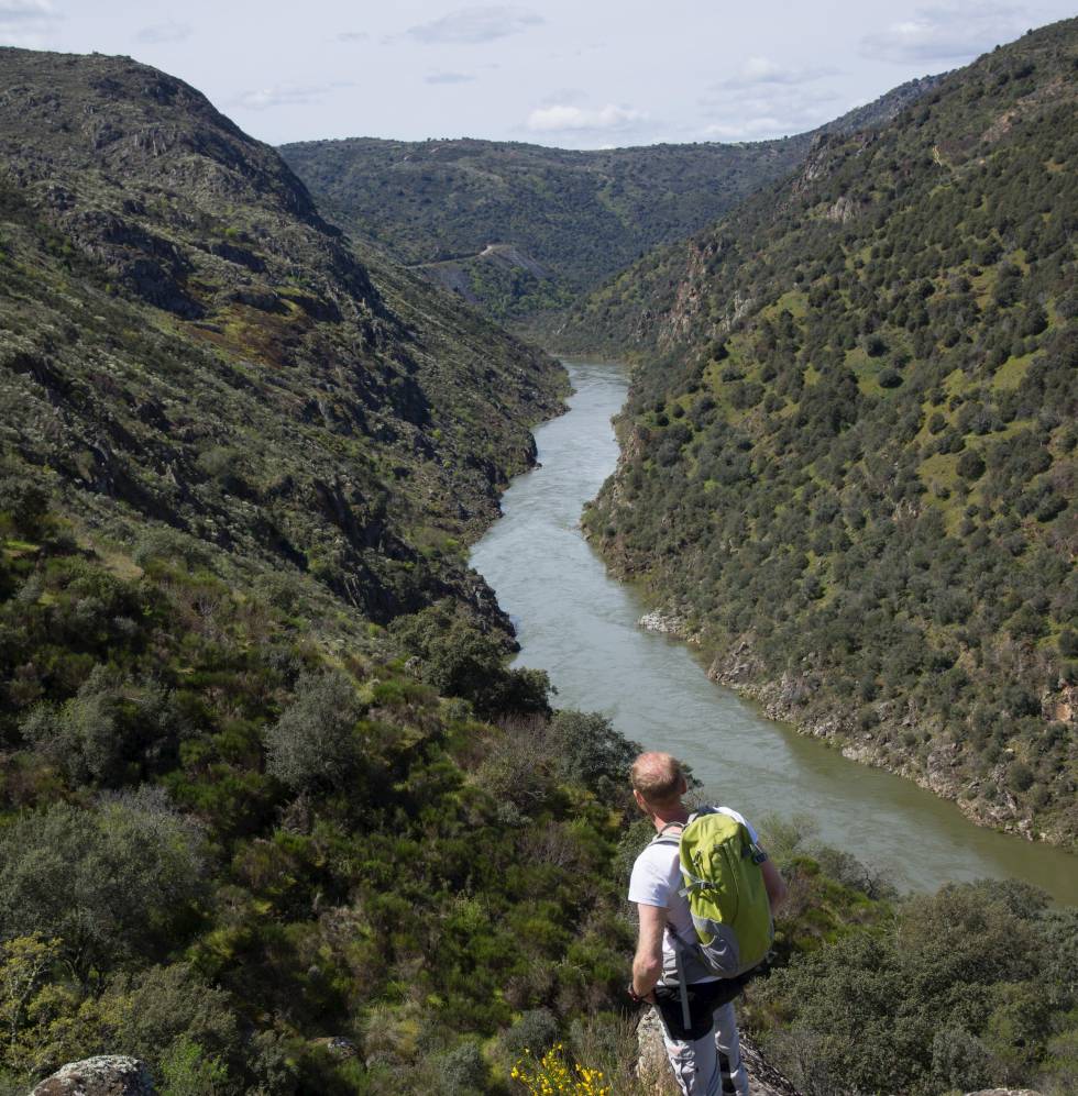 Un crucero ambiental a bordo de un catamarán con techo de cristal recorre el tramo más espectacular del parque natural de los Arribes del Duero, entre la localidad portuguesa de Miranda de Douro y el valle del Águila (Zamora). Un cortado sinuoso y estrecho entre verticales murallones de granito (hasta 400 metros de altura), fruto de la erosión milenaria. Un guía de la Estación Biológica Internacional va explicando las peculiaridades del paisaje que se contempla, como los inusuales cultivos mediterráneos (olivos, viñedos, almendros) que aparecen en los arribes (orillas) o el vuelo de aves como la cigüeña negra o el águila real.  duerodouro.org 