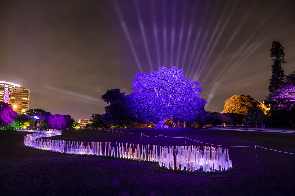'River of Light', outra das instalações luminosas no Jardim Botânico. Como seu nome indica, é um rio de luz que tem mais de 55 metros de comprimento. Mais informação: vividsydney.com 