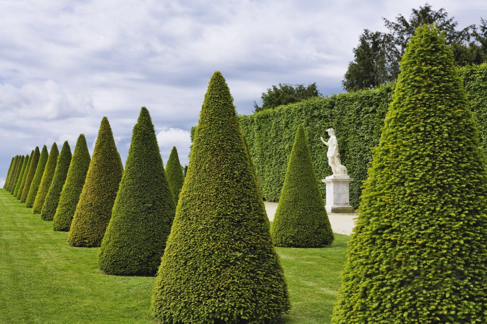 Versalles, patrimonio mundial , no serÃa Versalles sin su parque y sus jardines a la francesa. Una alfombra de 800 hectáreas, refinada y majestuosa, que se extiende a las puertas de palacio. Cuenta con 300 hectáreas de bosque, un invernadero de naranjos (L'Orangerie), estatuas y 55 estanques (el más grande de los cuales es el Gran Canal). También tiene fuentes que de abril a octubre bailan sus aguas al ritmo de la música en algunos momentos del dÃa. Abarcarlo todo en una sola jornada es prácticamente imposible, aunque se puede intentar alquilando una bici o un coche eléctrico, o en el trenecito turÃstico que recorre el Gran Trianón (pequeño palacio de mármol rosa), el Pequeño Trianón o el Dominio de MarÃa Antonieta.