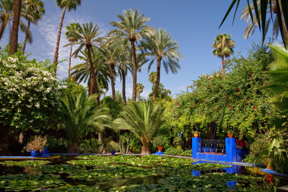 Refinamiento árabe de palmeras y fuentes de agua susurrante. El JardÃn Majorelle asoma, refrescante, en el corazón de Marrakech, como el sueño del pintor francés Jacques Majorelle, que necesitó 40 años para crear este oasis exótico de caminos sombreados, arroyos, estanques llenos de nenúfares y flores de loto. El viento murmurando entre las hojas, los pájaros cantando, el aire cargado de aroma a jazmÃn. Y un edificio pintado en un añil vibrante, con todo su encanto morisco aderezado por toques art decó. Yves Saint-Laurent y Pierre Bergé compraron la propiedad, que estaba abandonada, en 1980; conservaron la vivienda para su uso privado, transformaron el taller en museo de arte islámico y restauraron el jardÃn.