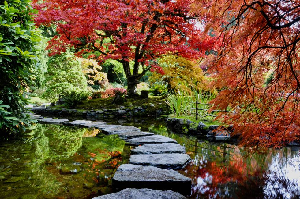 La cantidad y diversidad de plantas (más de un millón de ejemplares de 900 variedades de temporada) que albergan los Jardines Butchart hacen que su superficie de más de 22 hectáreas en Brentwood Bay (isla de Vancouver, Columbia Británica) esté ininterrumpidamente en flor de marzo a octubre. En verano, los visitantes disfrutan de todo el esplendor de peonÃas, iris o rosas. Este espacio colorido existe gracias a Jennie Butchart, quien a principios del siglo XX empezó a transformar, con sus propias manos, la cantera de caliza que habÃa dejado de explotar su marido. El trabajo que comenzó ella lo realiza ahora un equipo de 50 jardineros.