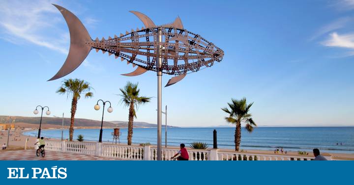 Por la costa de Cádiz en busca del atún de almadraba