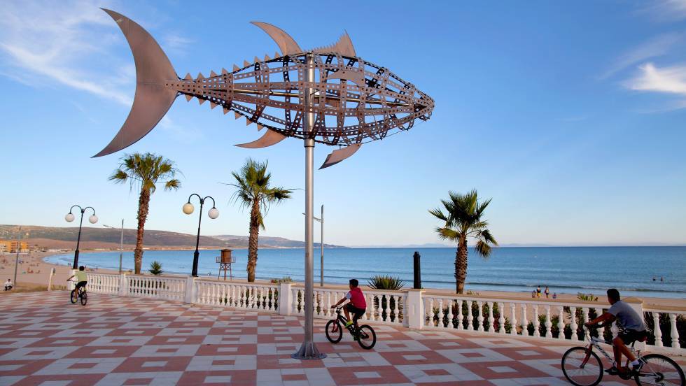 Por la costa de Cádiz en busca del atún de almadraba | El Viajero ...