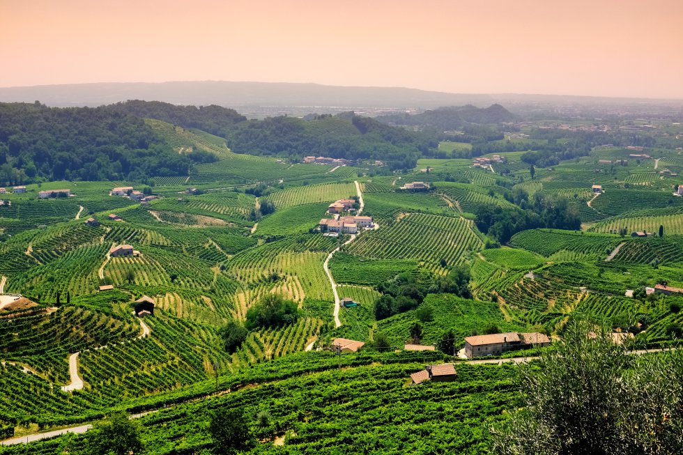 La Unesco ha reconocido el valor de la cultura del vino y de los viñedos del rincón del Veneto (región al noreste de Italia) donde se produce el 'prosecco', un vino espumoso a la altura del champán. La originalidad del paisaje reside en los 'ciglione', las colinas en las que crece el viñedo, estructuradas en pequeñas parcelas que el hombre ha ido moldeando a lo largo de los siglos, dando como resultado un panorama inmediatamente reconocible y de gran belleza.