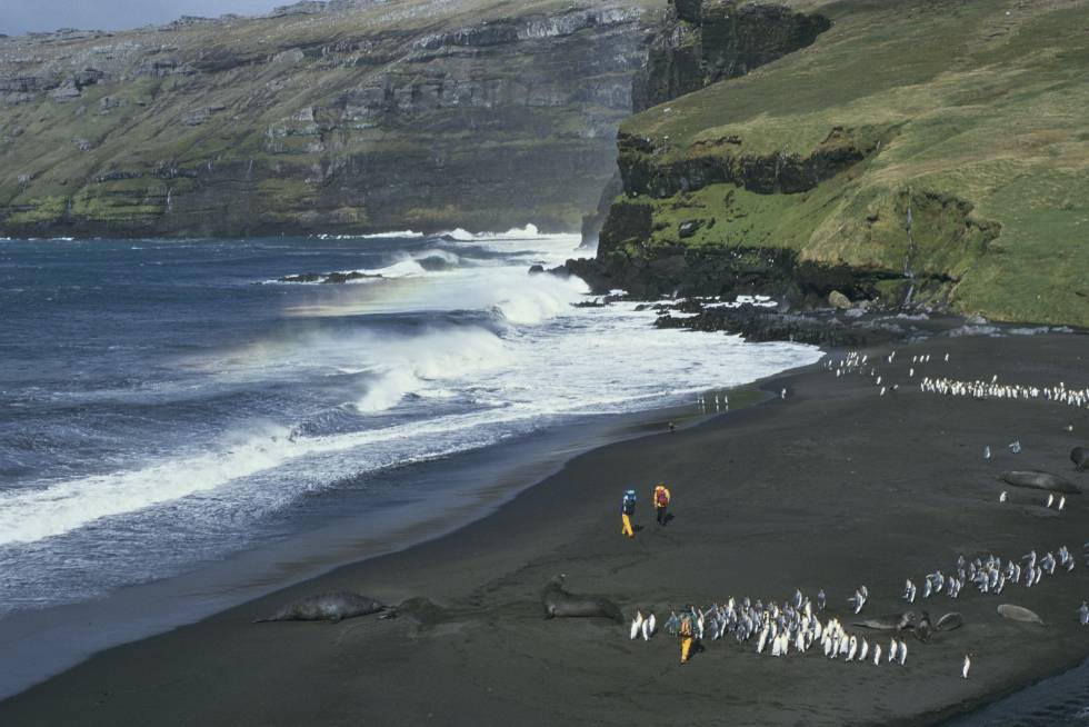 Al sur del Océano Índico se extienden 60 islas subantárticas que son auténticos paraísos para la investigación científica. Islas como las Kerguelen, las de Saint-Paul y Ámsterdam, o el archipiélago de Crozet (en la foto), que conforman los territorios australes franceses y cubren más de 67 millones de hectáreas. En ellas viven, en completa paz y armonía, diferentes poblaciones de aves y mamíferos marinos como el albatros de pico amarillo o el pingüino rey, ajenos a la evolución biológica en el resto del planeta.