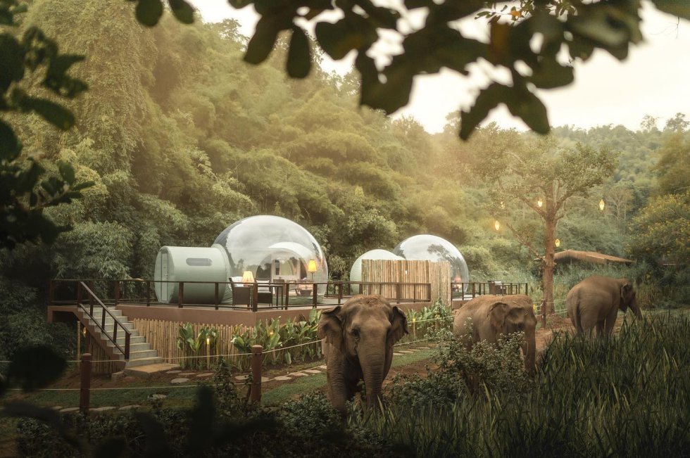 Os hotéis Bubble não servem apenas para passar a noite sob as estrelas.  Isso é demonstrado pelo Anantara Golden Triangle Elephant Camp & Resort, uma acomodação em Chiang Rai, no meio da selva do norte da Tailândia, com vista para Mianmar e Laos.  Seus quartos bolha, projetados pela empresa espanhola Eye in The Sky, oferecem uma experiência atraente de imersão para ver os elefantes em seu habitat.  Claro que de momento só existem dois, pelo que reservá-los não é fácil (a partir de 380 euros para duas pessoas).  Além do luxo, aqui também aguarda seu acampamento de elefantes resgatados das ruas do país.