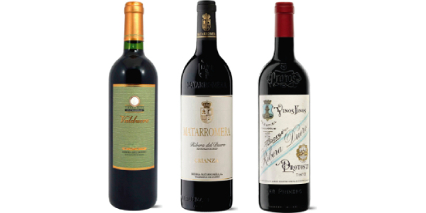Pack Iconos de la Ribera del Duero