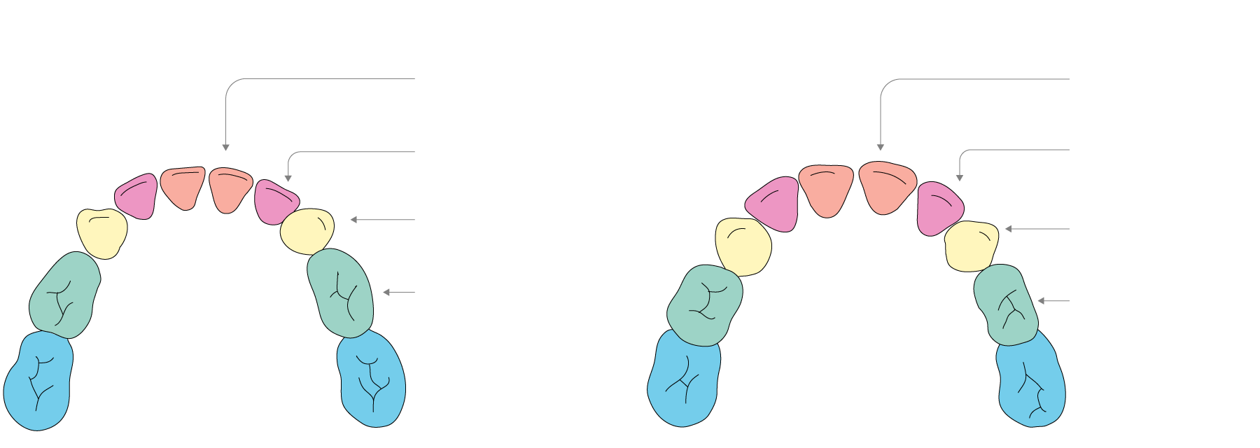Teeth Toes How babies develop during the first two years of life: A month-by-month ...