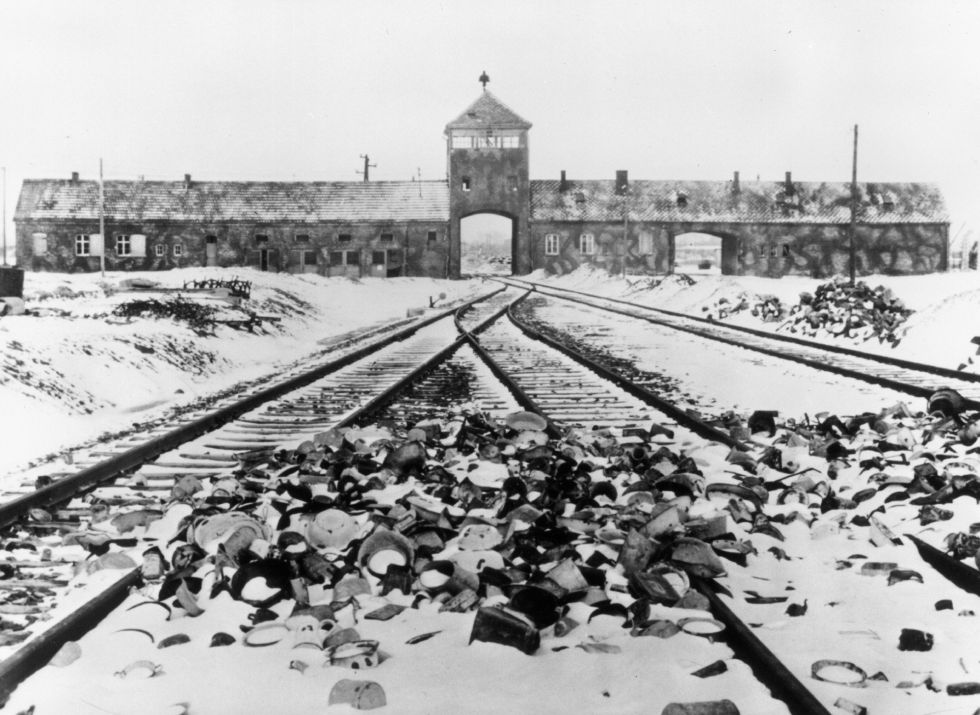 Fotos El Horror Del Holocausto Internacional El PaÍs