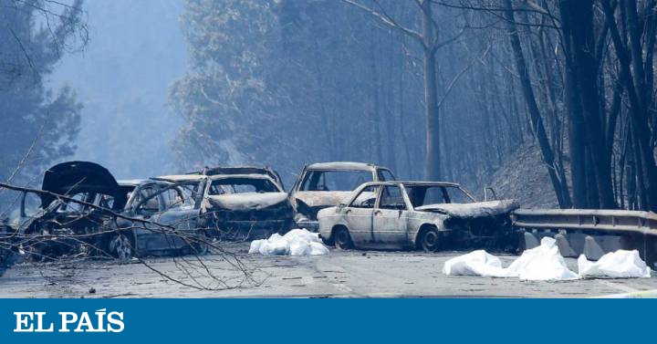 Incendio en Portugal: La carretera de la muerte ...