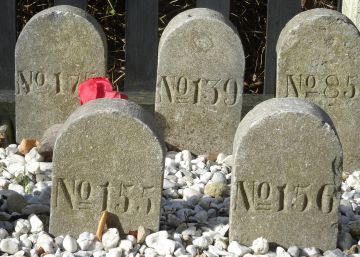 Hidrólisis, compostaje y cadáveres pulverizados para la nueva ley funeraria holandesa