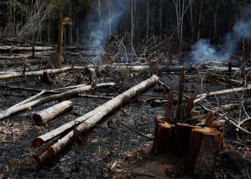 Los incendios en la Amazonia desatan las críticas contra el Gobierno de Bolsonaro