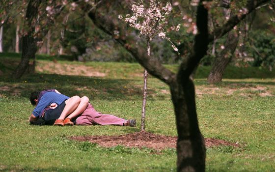 14 15 - El porno como educaciÃ³n sexual | EspaÃ±a | EL PAÃS