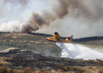 55.000 hectáreas han ardido este año, un 6% más que la media de la década