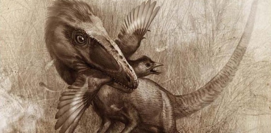 Que comian los dinosaurios carnivoros