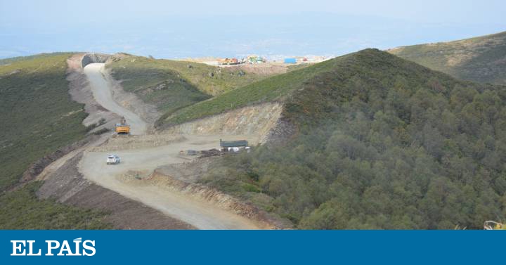 La justicia suspende la autorización del parque eólico de Lugo que amenaza al oso pardo