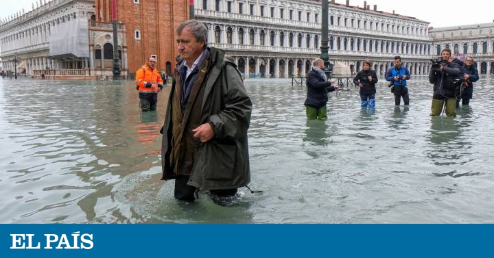 “La situación en Venecia es límite. Todos debemos ayudarla unidos” - EL PAIS