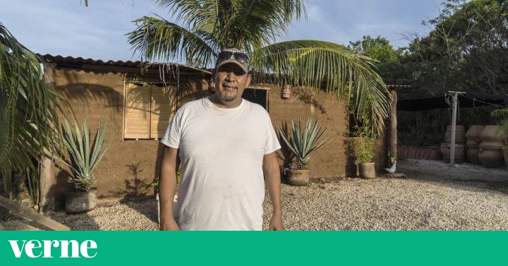 Casas de sargazo y adobe para combatir el cambio climático | Verne México  EL PAÍS